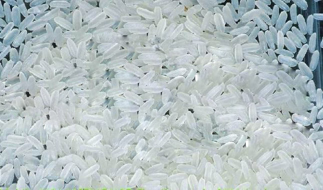 243305__Reconstituted_rice_process_equipment_.jpg